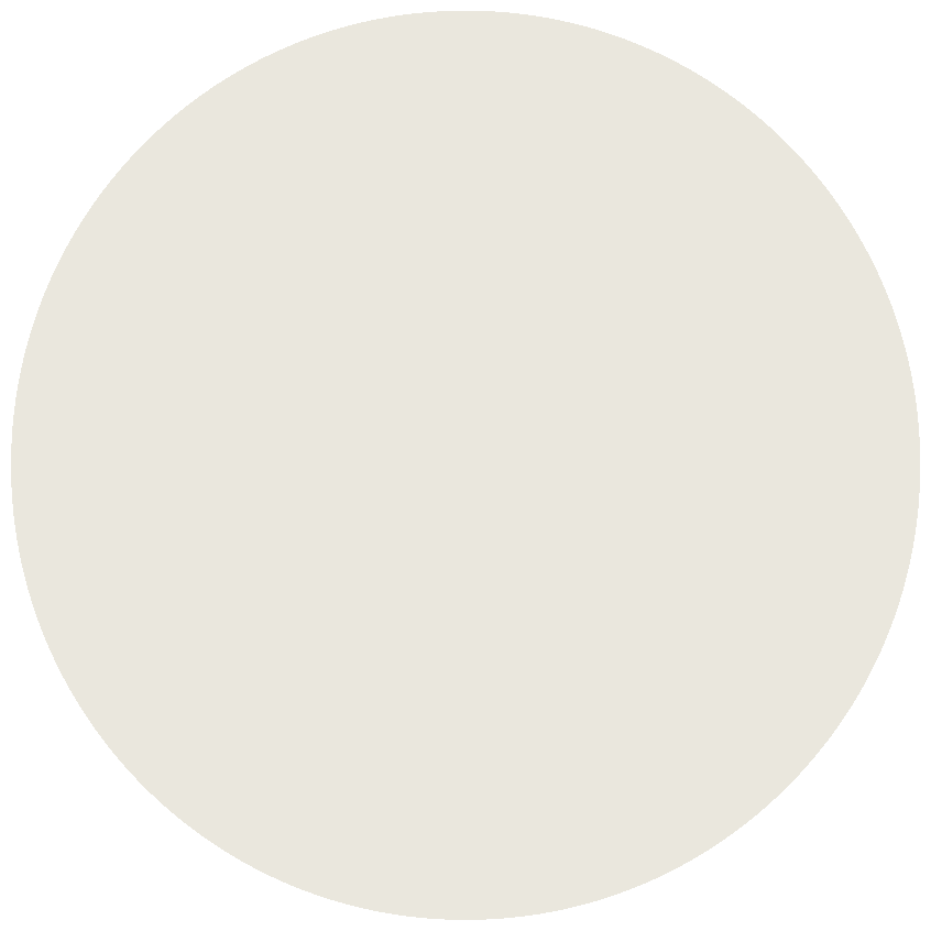 Asciugacapelli Icon